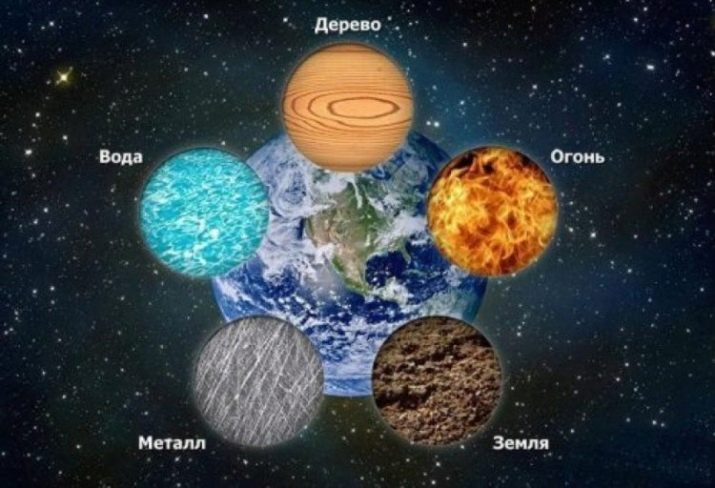 2017 – рік якої тварини і що для неї характерно?