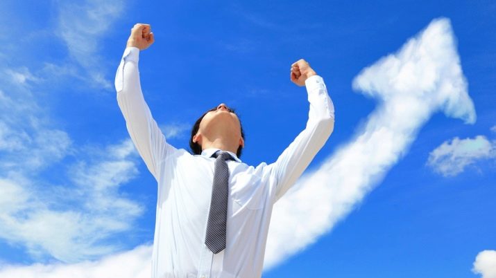 2017 – рік якої тварини і що для неї характерно?