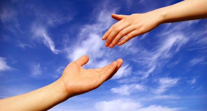 2017 – рік якої тварини і що для неї характерно?