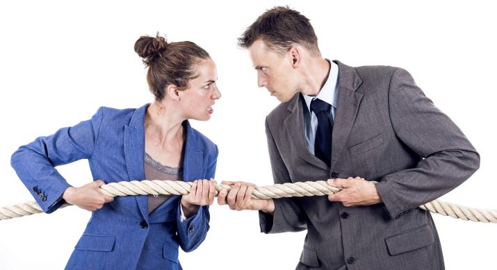 2017 – рік якої тварини і що для неї характерно?