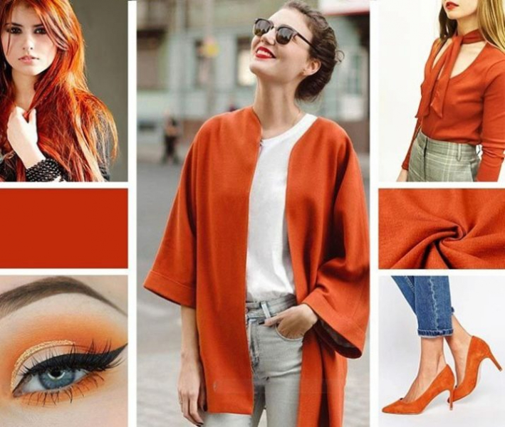 2017 – рік якої тварини і що для неї характерно?