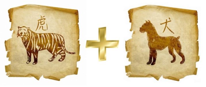 2022 – рік якої тварини і чим вона характерна?