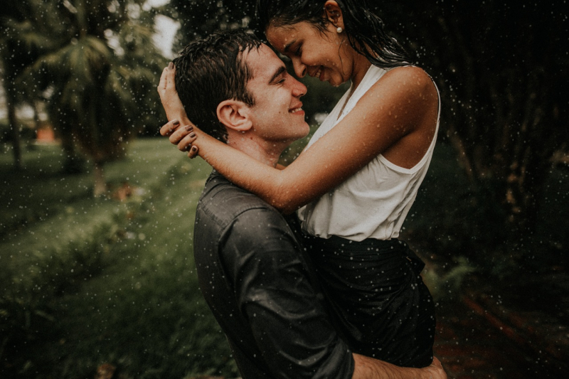 2026 – рік якої тварини і що вона означає?