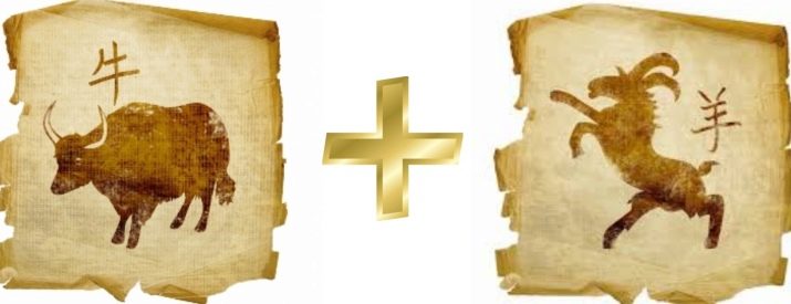 2030 – рік якої тварини і які у неї особливості?