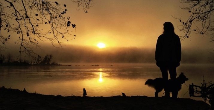 Що означає коричневий колір у психології?