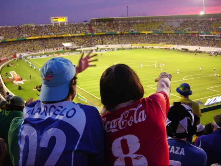 Рік Кози: характеристика та сумісність