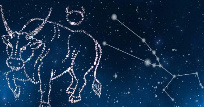 Рік Кози: характеристика та сумісність