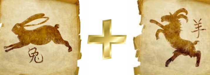 Рік Кози: характеристика та сумісність