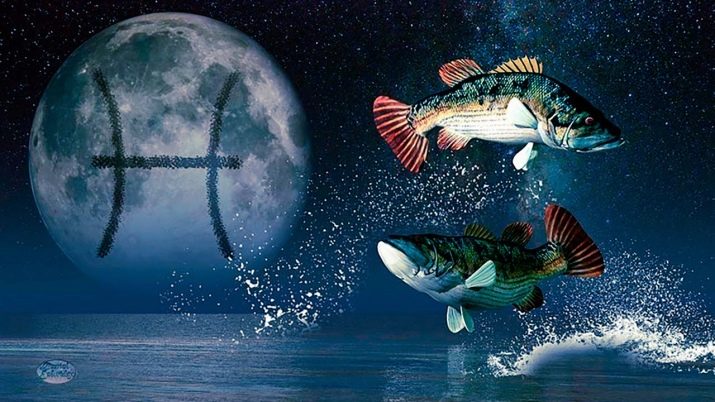 Рік Кози: характеристика та сумісність