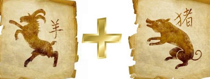 Рік Кози: характеристика та сумісність