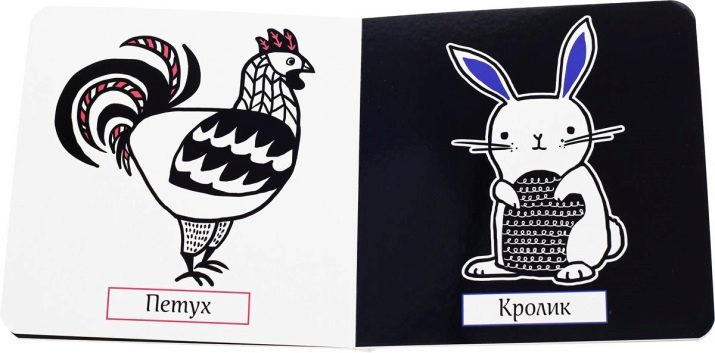 Рік Півня: характеристика, стихії та сумісність