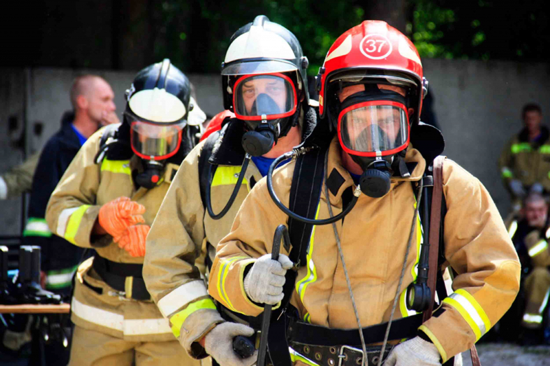 Рік Змії: характеристика символу та характеру людей