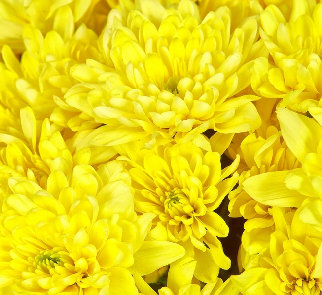 Як визначити колір свого імені?