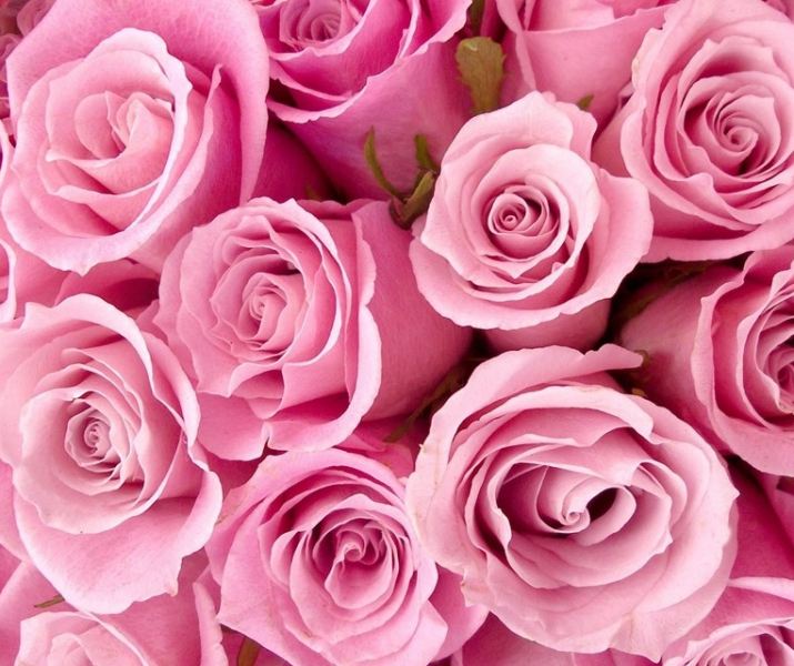 Як визначити колір свого імені?