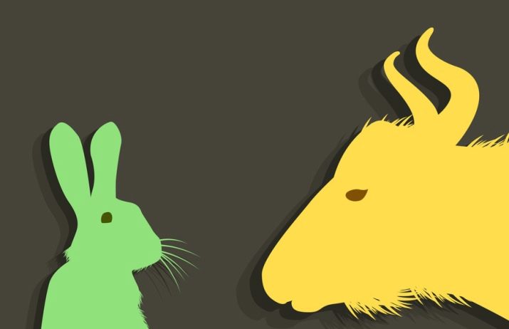 Чоловік Бик: роки народження, характеристика та сумісність