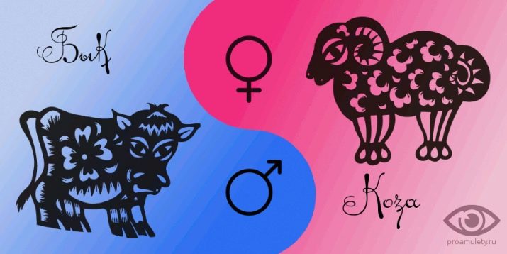 Чоловік Бик: роки народження, характеристика та сумісність