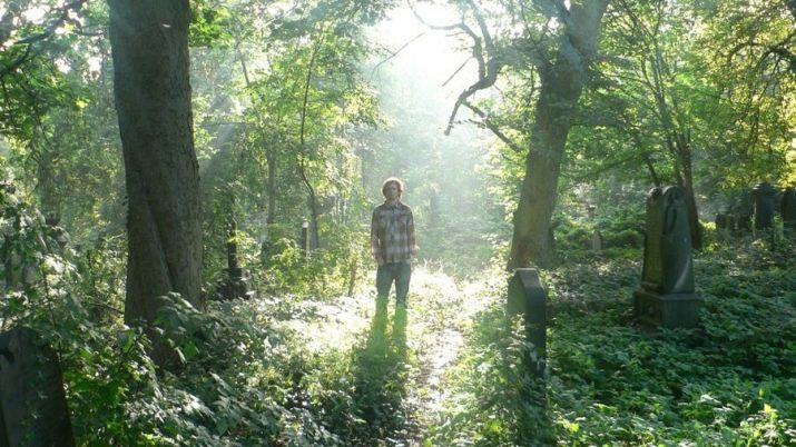 Чоловік Бик: роки народження, характеристика та сумісність