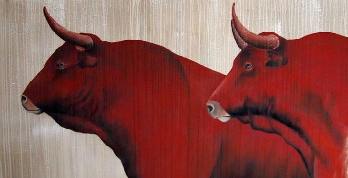 Чоловік Бик: роки народження, характеристика та сумісність