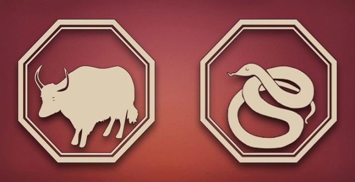 Чоловік Бик: роки народження, характеристика та сумісність