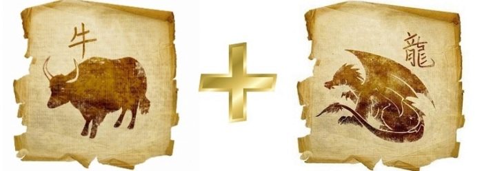 Чоловік Бик: роки народження, характеристика та сумісність