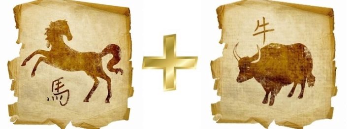 Чоловік Бик: роки народження, характеристика та сумісність