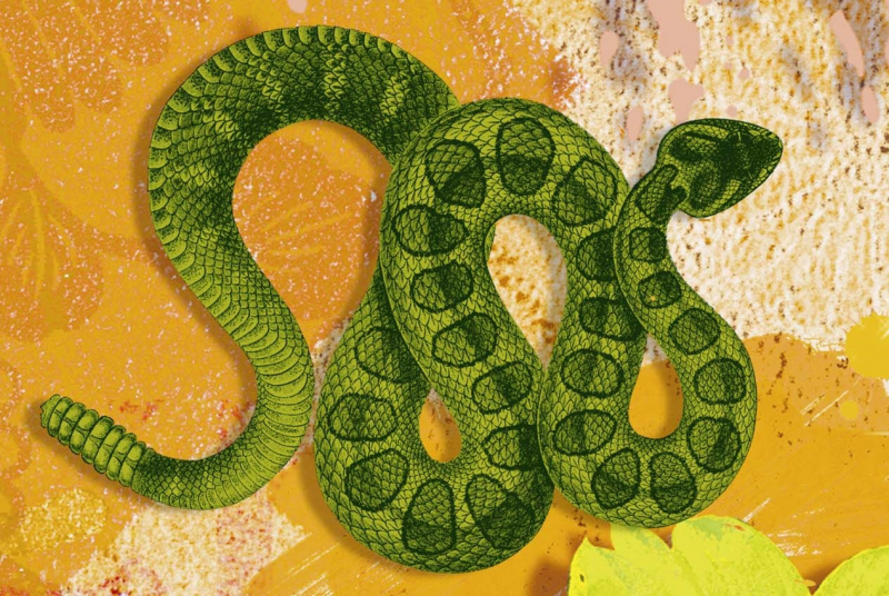 Чоловіки Коти (Кролики): характеристика та сумісність