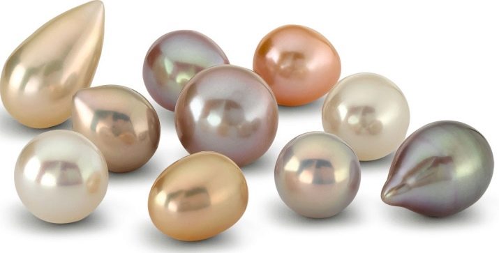 Чоловіки Коти (Кролики): характеристика та сумісність