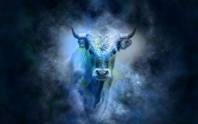 Чоловіки Коти (Кролики): характеристика та сумісність