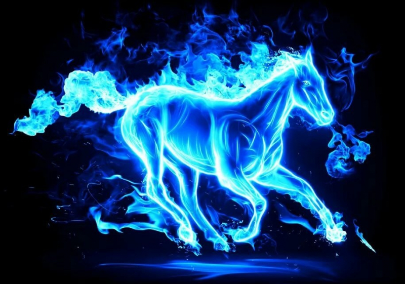 Чоловіки Коти (Кролики): характеристика та сумісність