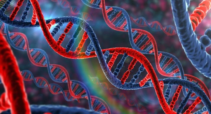 Що це таке, як проявляється і як лікувати?