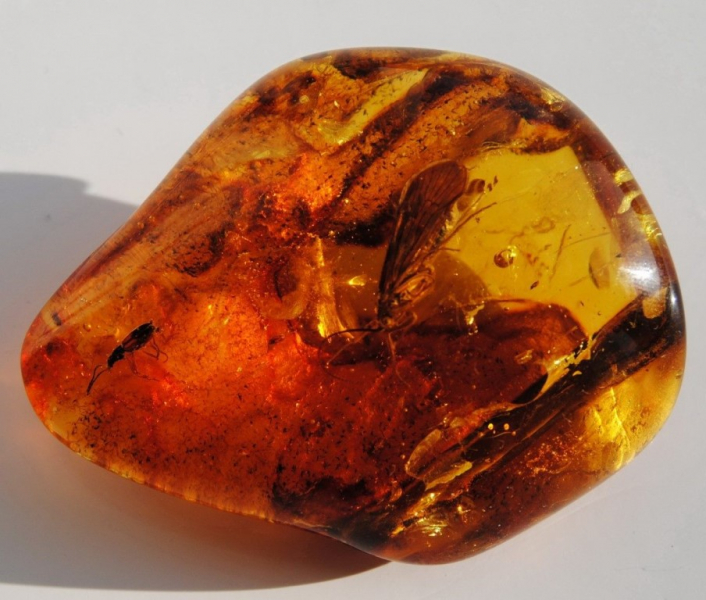 Жінка Дракон: характеристика, робота, кохання та талісмани