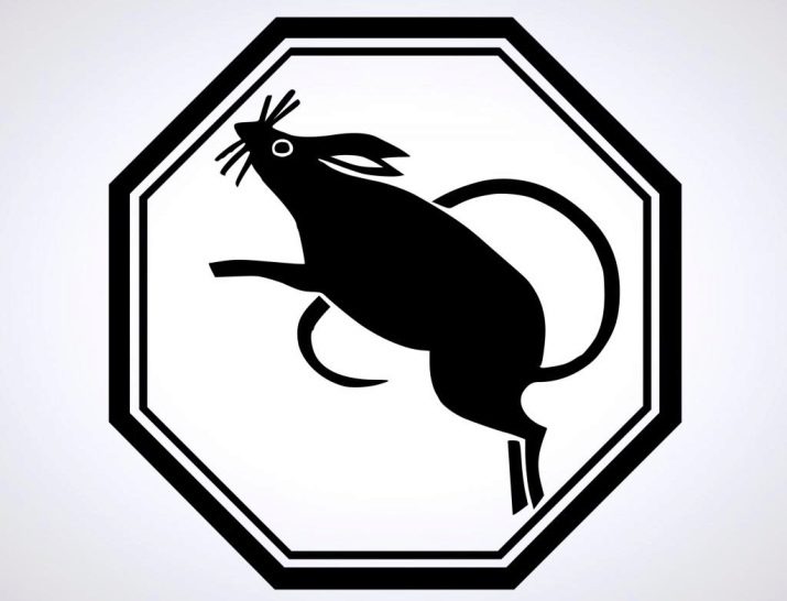 Жінка Змія: опис та сумісність