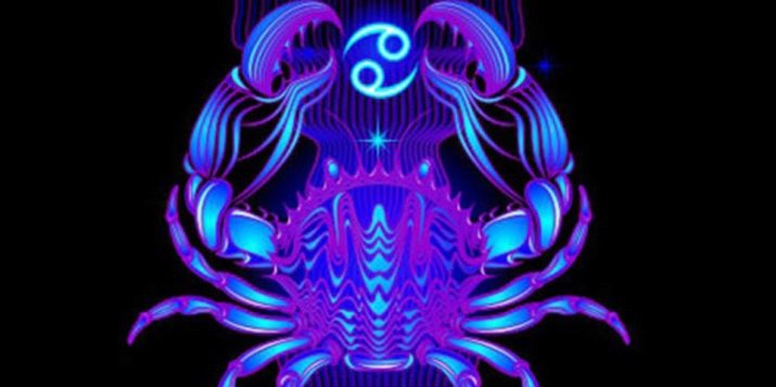 Жінка Змія: опис та сумісність