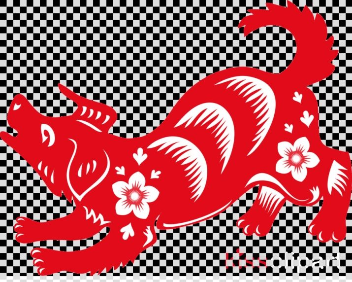 Жінка Змія: опис та сумісність