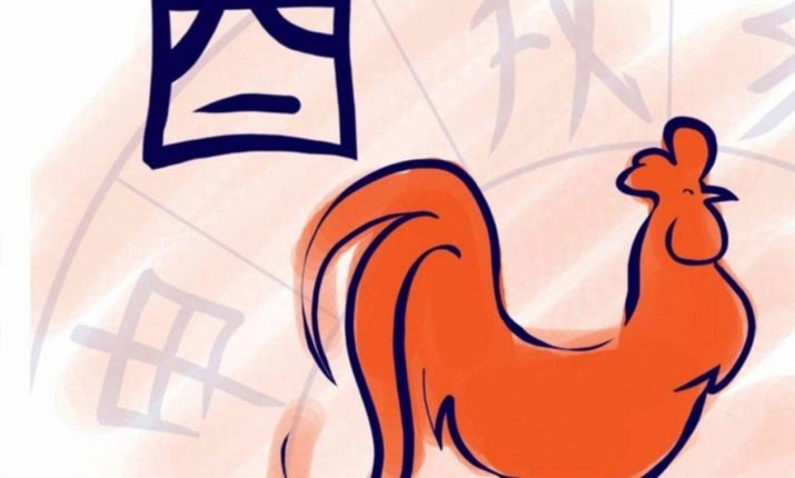 Жінки Півні: характеристика, досягнення у роботі та особистому житті