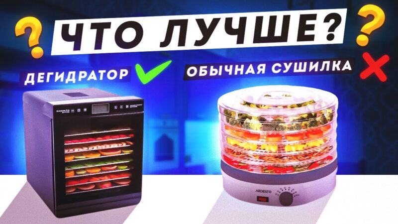Как выбрать сушилку для овощей и фруктов