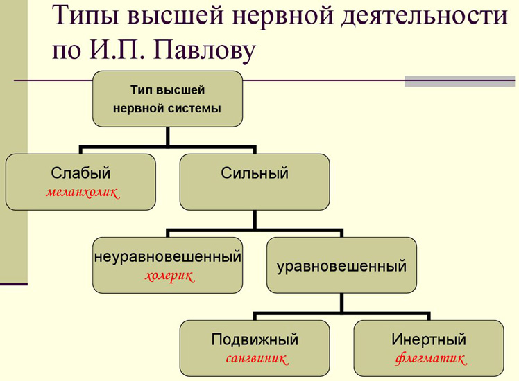 Які типи особистостей бувають і як визначити свій психотип?