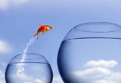 Що таке зона комфорту та як із неї вийти?