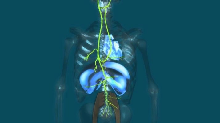 Самовладання: що це таке та як розвинути?