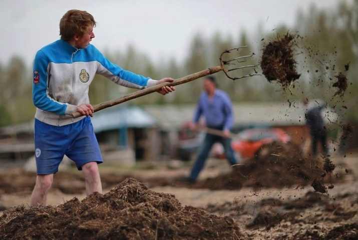 Дауншифтинг: значення, види та країни для проживання