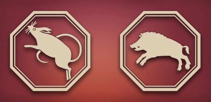 2019 – рік якої тварини і що для неї характерно?