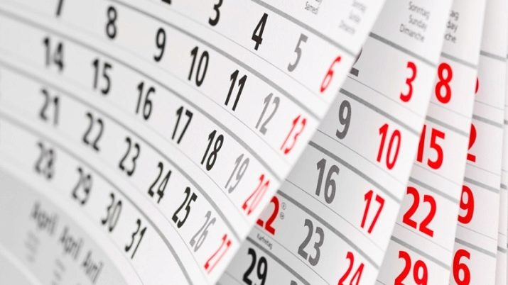 Як змусити себе вчитися?