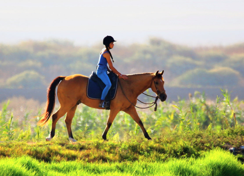 Топ речей, які потрібно зробити у житті