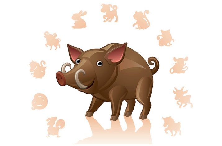 Знак Свині за східним гороскопом: які це були роки та яка характеристика людей?