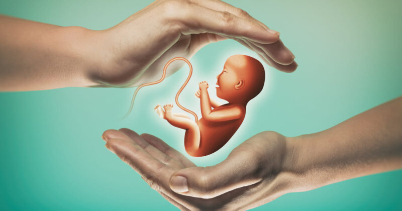 Екстракорпоральне запліднення