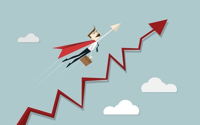 Просування сайту від компанії Procamp